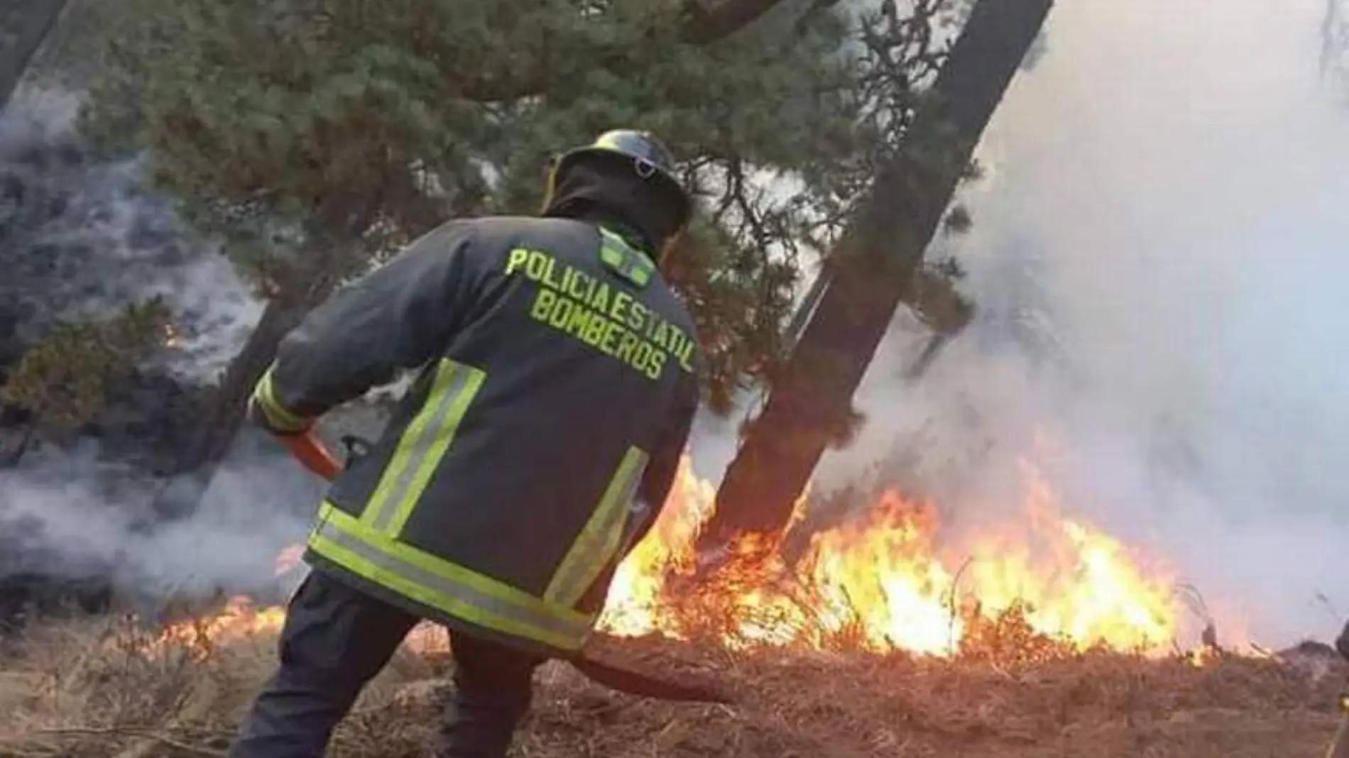 Casi 250 incendios forestales se registraron en Puebla de enero a abril 2023